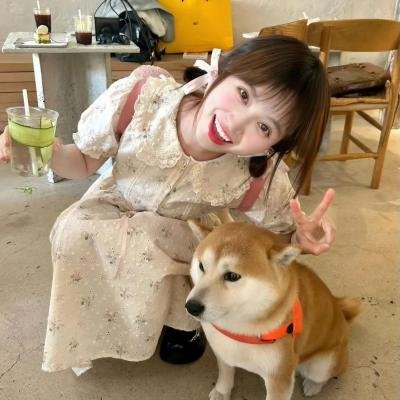 我的丫鬟是总监