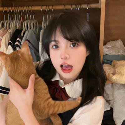 猫咪寻熊记